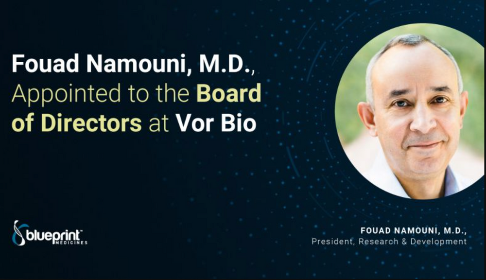 Fouad Namouni Vor Bio Blueprint Medicines