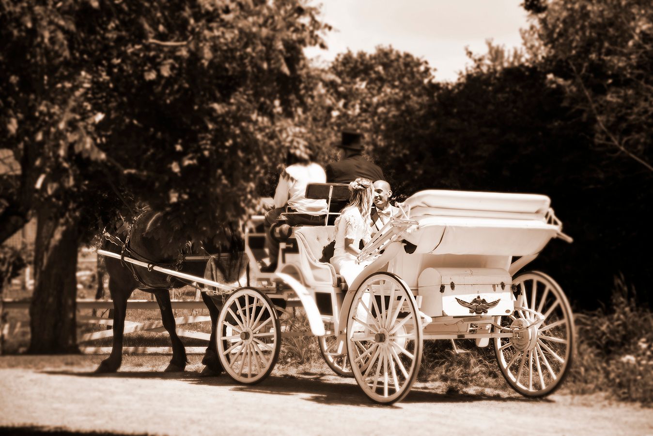Vintage sepia photograph of a horse-drawn carriage with elegant white trim parked on a tree-lined street. (Buffalo New York)