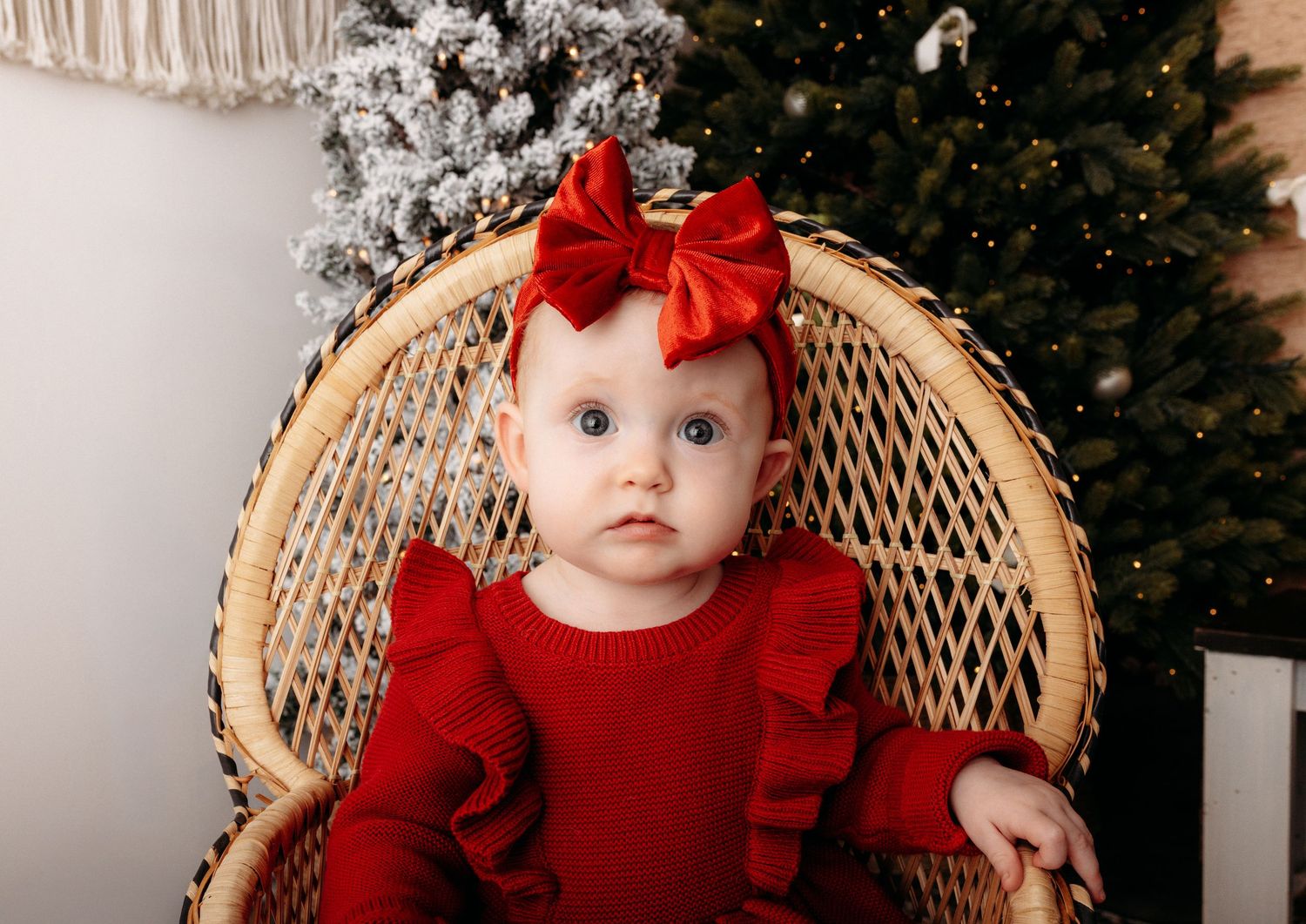 Studio Christmas