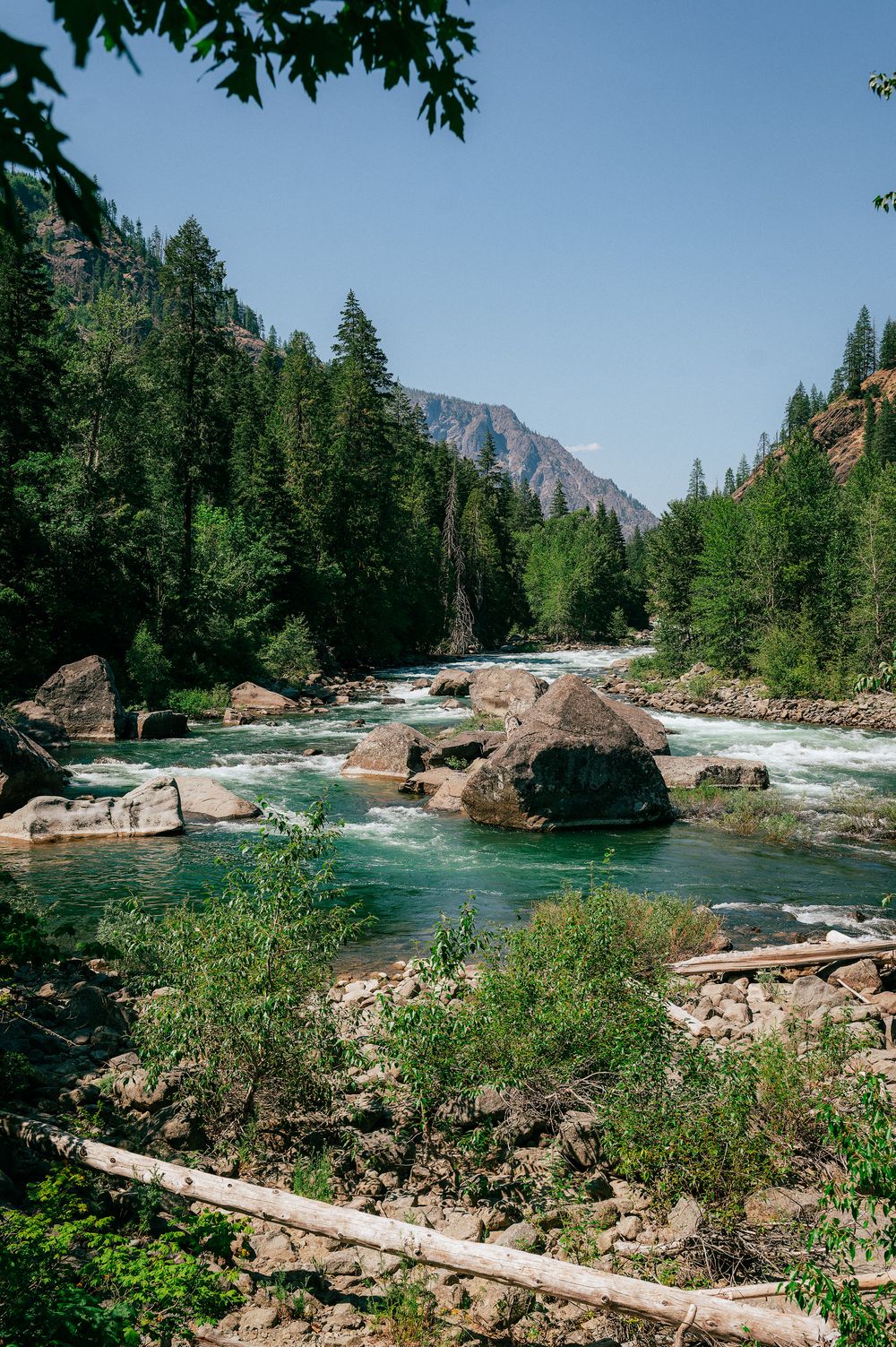 Crystal clear mountain stream cascades over large boulders surrounded by evergreen forest and mountain peaks.