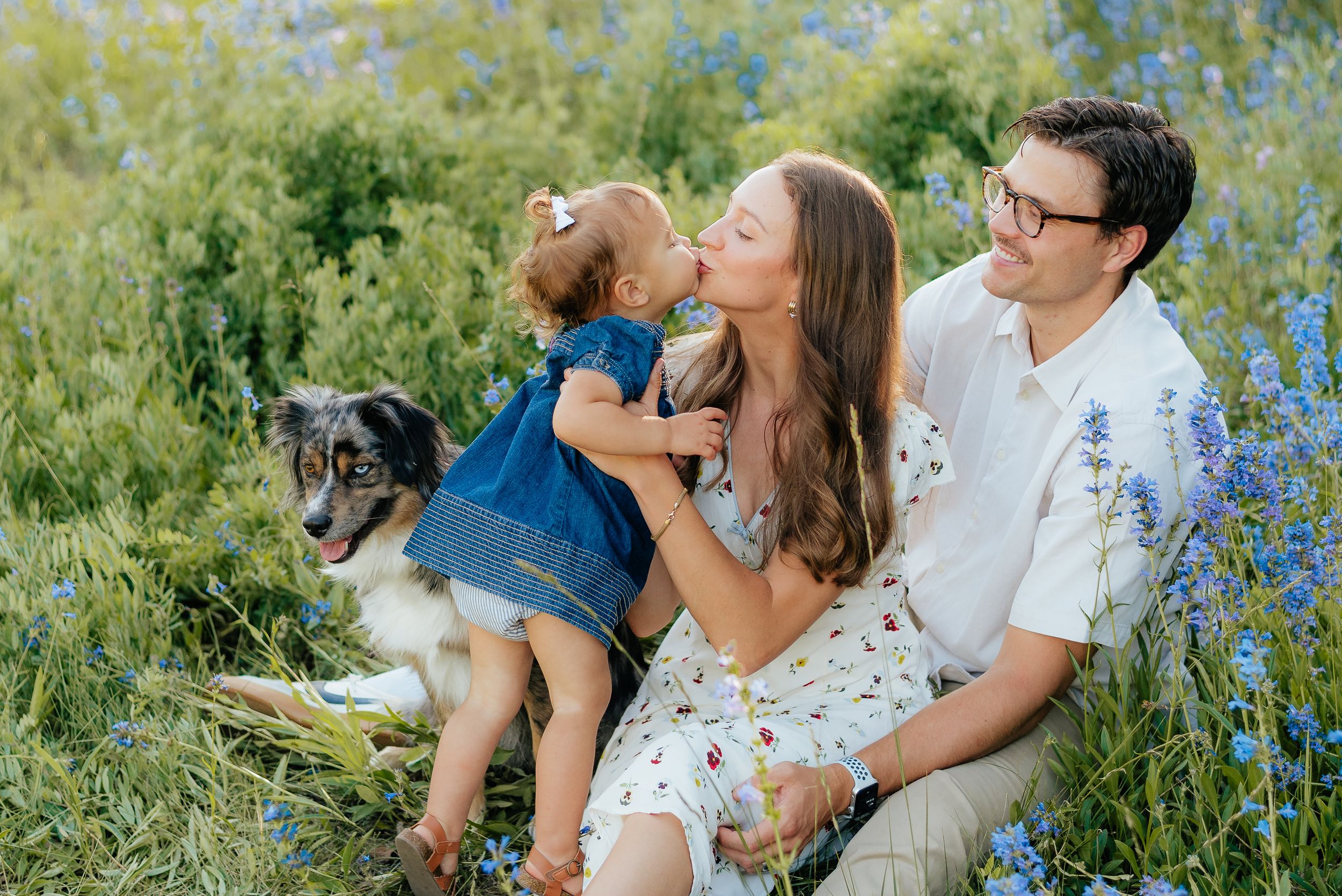 Family with toddler girl and aussie dog sitting in blooming wildflower field during outdoor photo session. Megan Snell Photo Utah Weddings