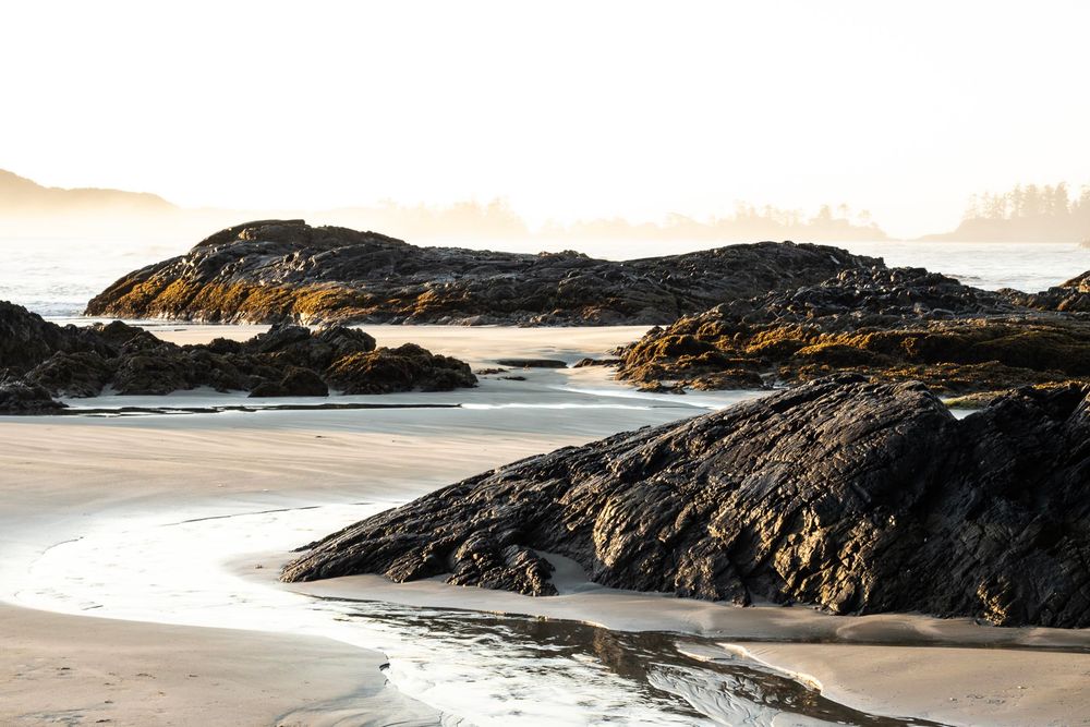 Elfriede Jasmine Photography Fine Art
