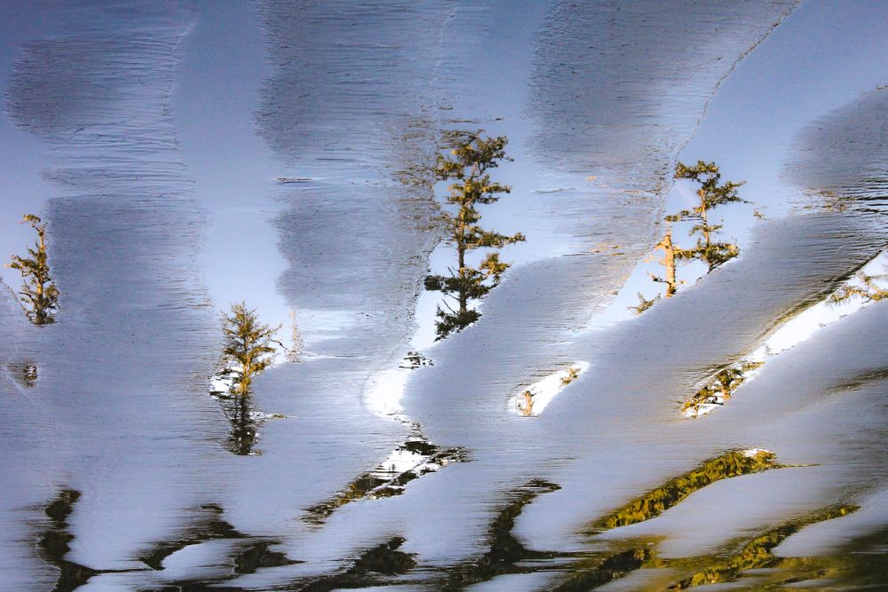 Elfriede Jasmine Photography Fine Art
