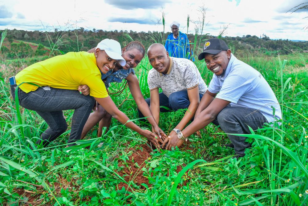 Tree Planting