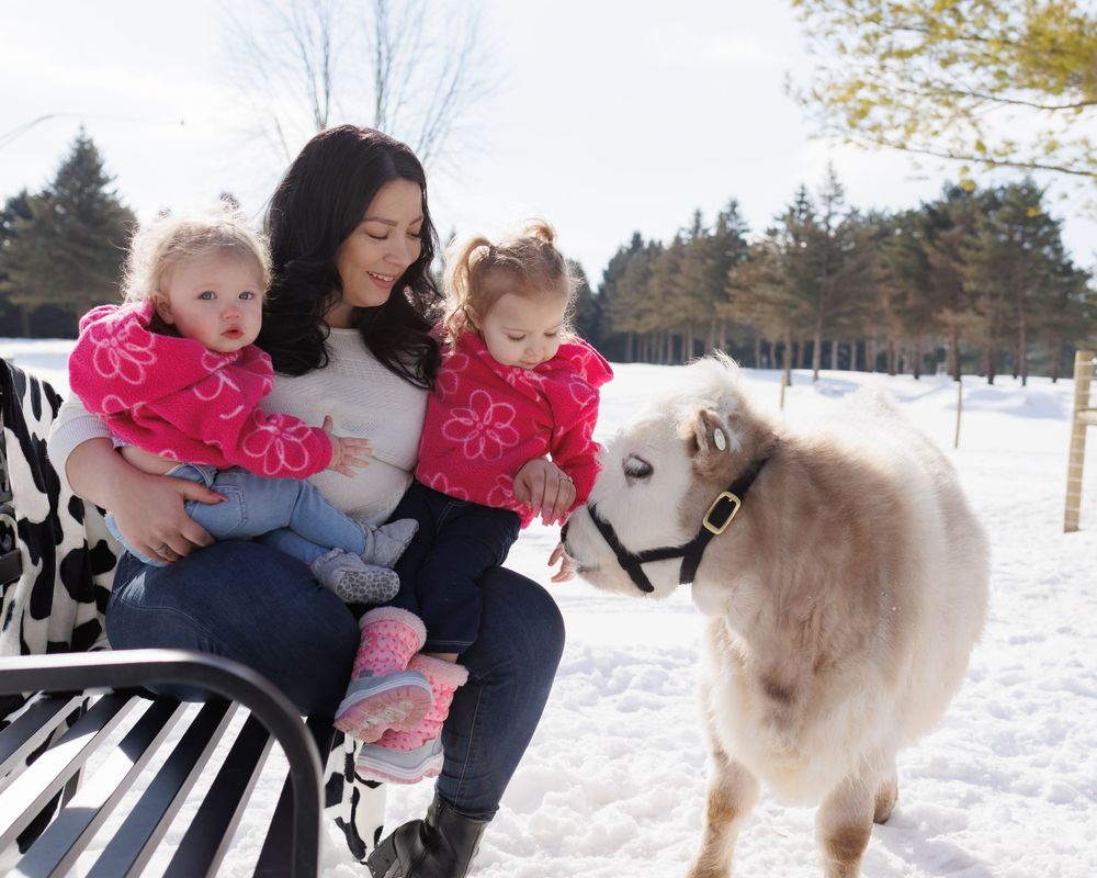 A group sitting on a bench in a snowy winter scene interacts with a friendly brown and white llama.