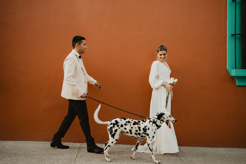 Couple walking and smiling with their Dalmatian, colorful wall in the background