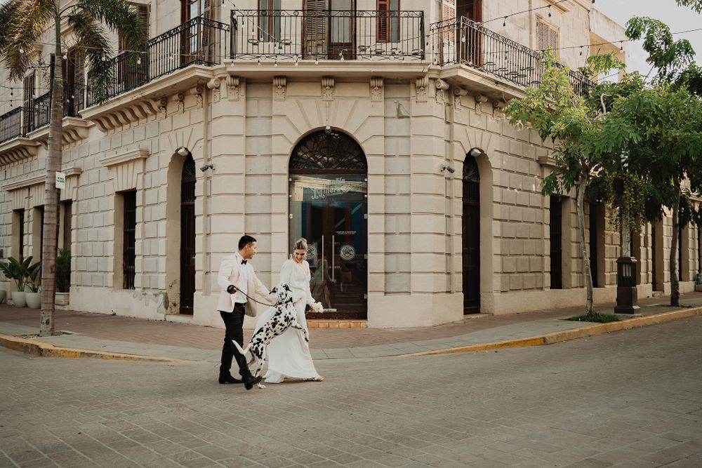Couple walking with playful Dalmatian, historic center background
