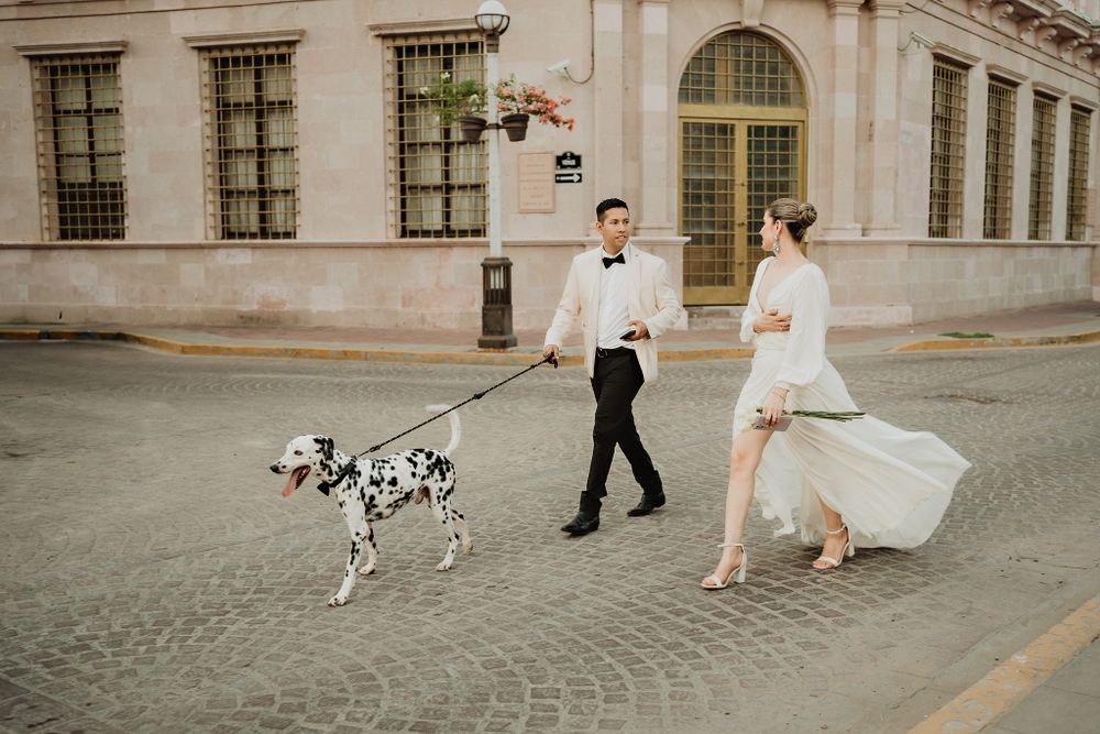 Couple walking with Dalmatian ahead, looking at each other