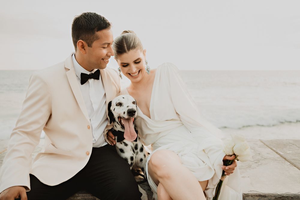 Couple sitting, smiling with Dalmatian in front, ocean backdrop