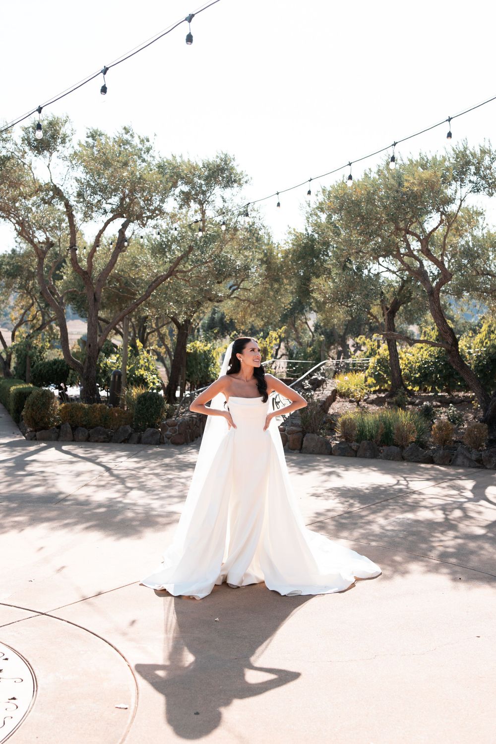 Two brides in flowing white wedding dresses share a tender moment in a sunlit garden with olive trees.