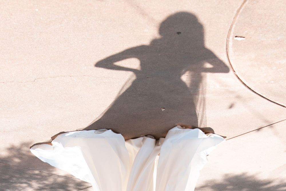 Shadow silhouette cast on pink wall with white flower petals in foreground.