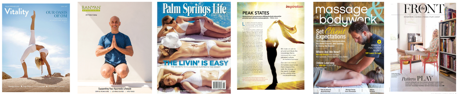 screen shot of an image grid of 6 images showing 4 magazine covers and two full page magazine interiors featuring photograph by Elena Ray.