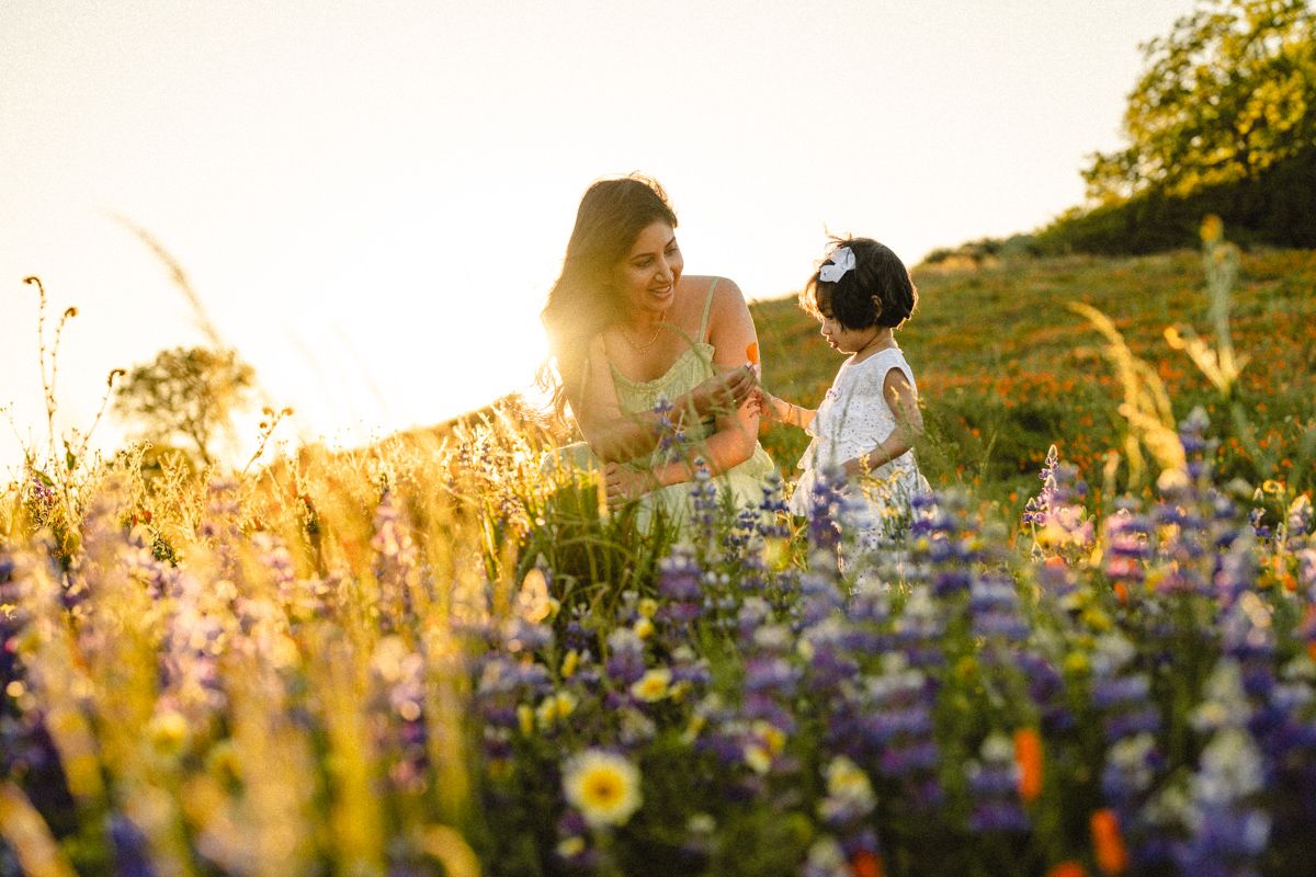 Silhouettes of people sitting in a field of colorful wildflowers at sunset with golden light streaming through.