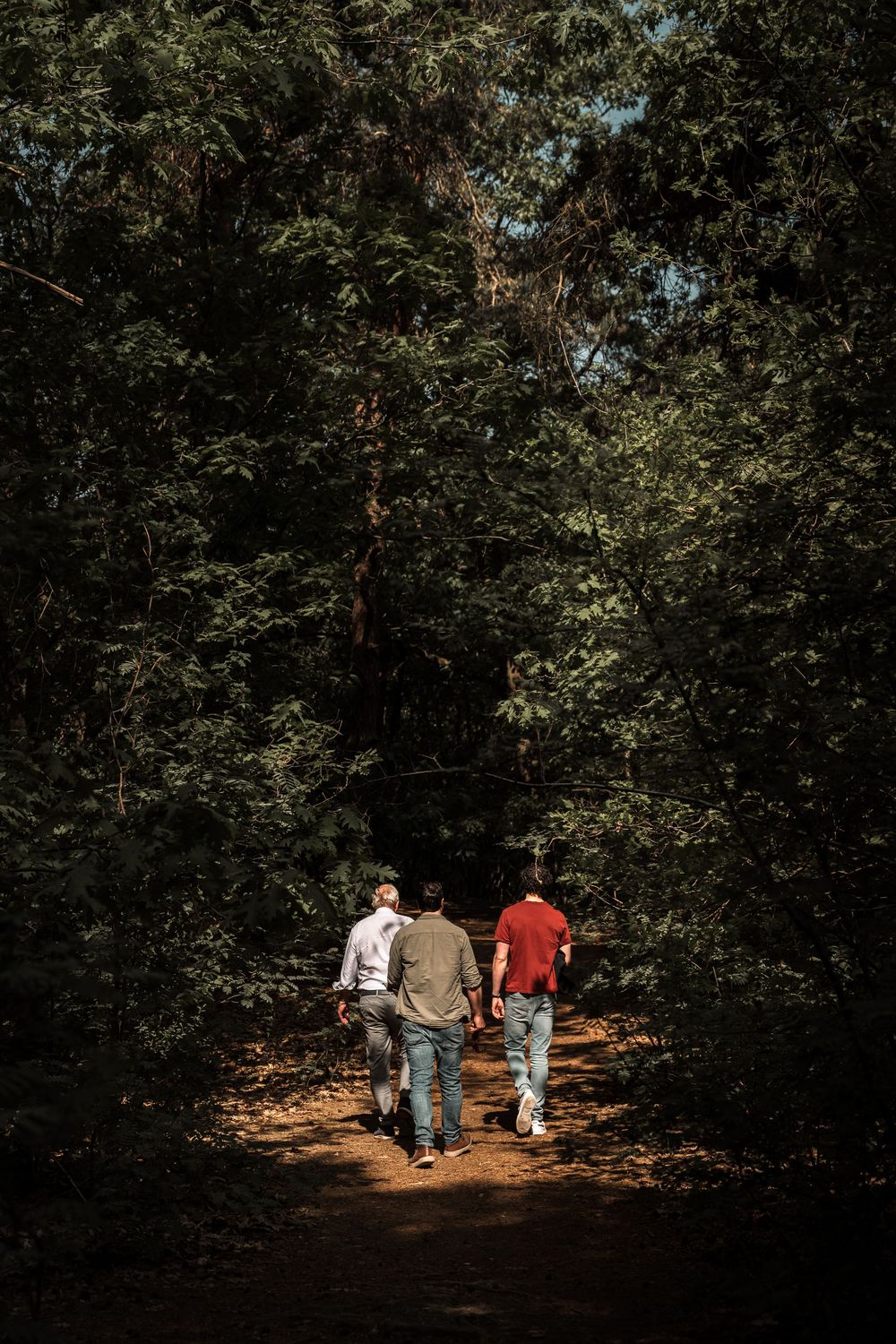 Three people walk together on a shaded forest trail surrounded by lush green trees on a sunny afternoon.