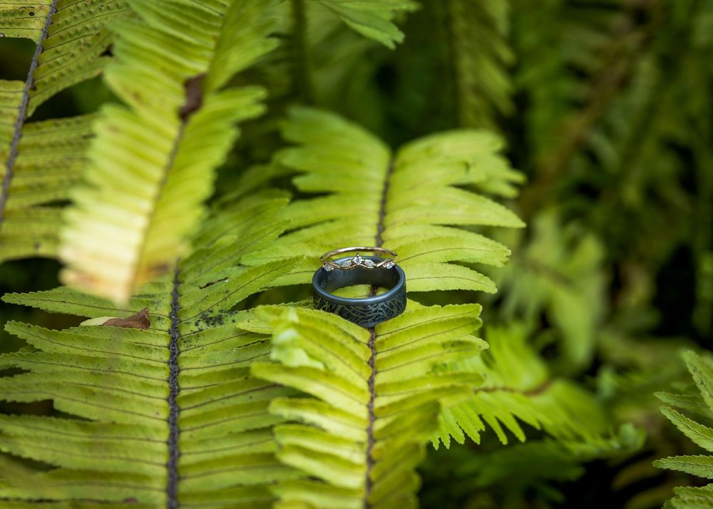 Dark wedding band with diamond accents resting on vibrant green fern leaves in natural outdoor setting.