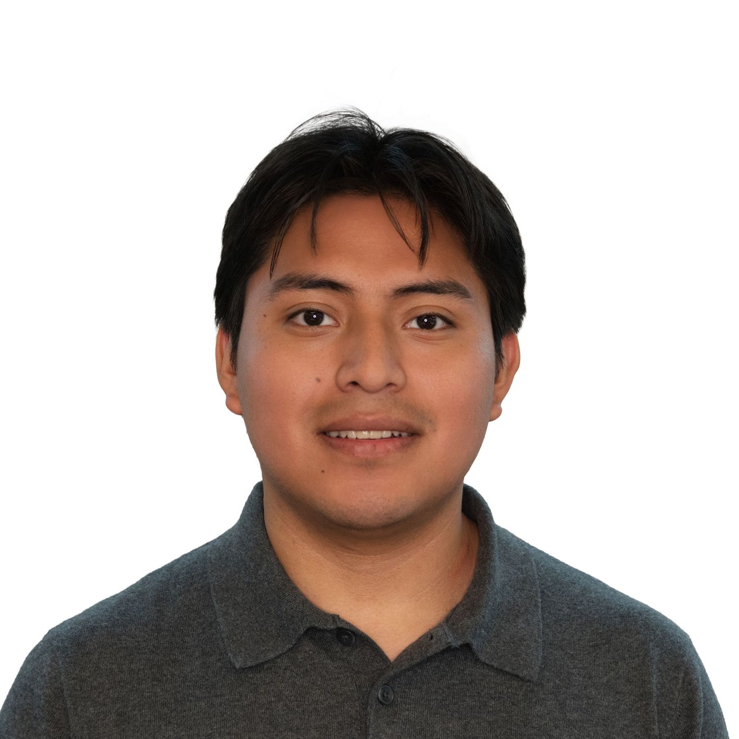 portrait of a man in a grey polo shirt for a Professional headshot in Boston with Leah Ramuglia Photography.