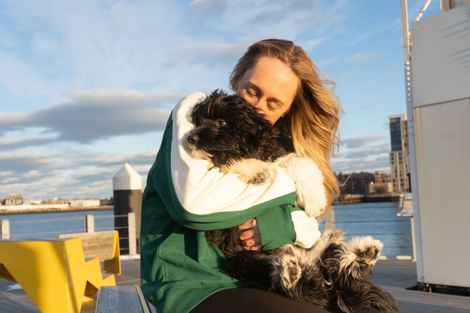 Snuggly Irish Water Spaniel Puppy photographed in Boston, MA by Leah Ramuglia Photography in the Charlestown Navy Yard.