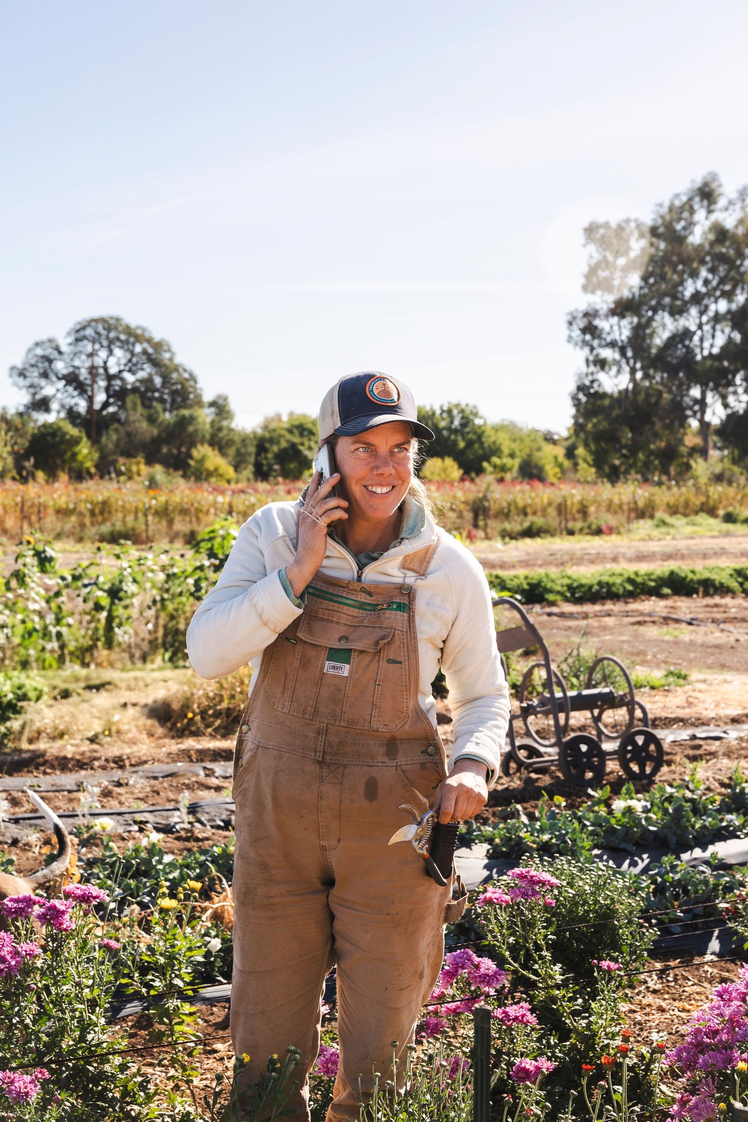 A farmer in brown overalls tends to blooming flowers in a sunny garden field.