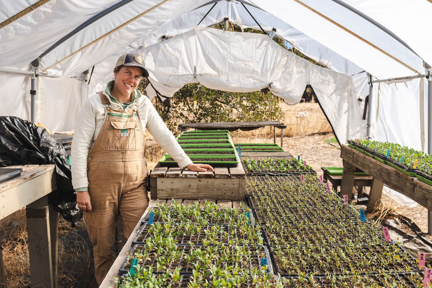 Workers tending to seedling trays inside a large greenhouse with rows of plant starts.
