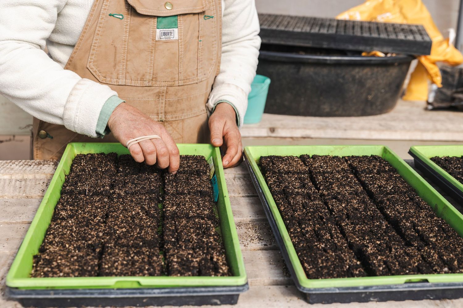 Hands planting seeds in black soil-filled green plastic growing trays on a potting bench.