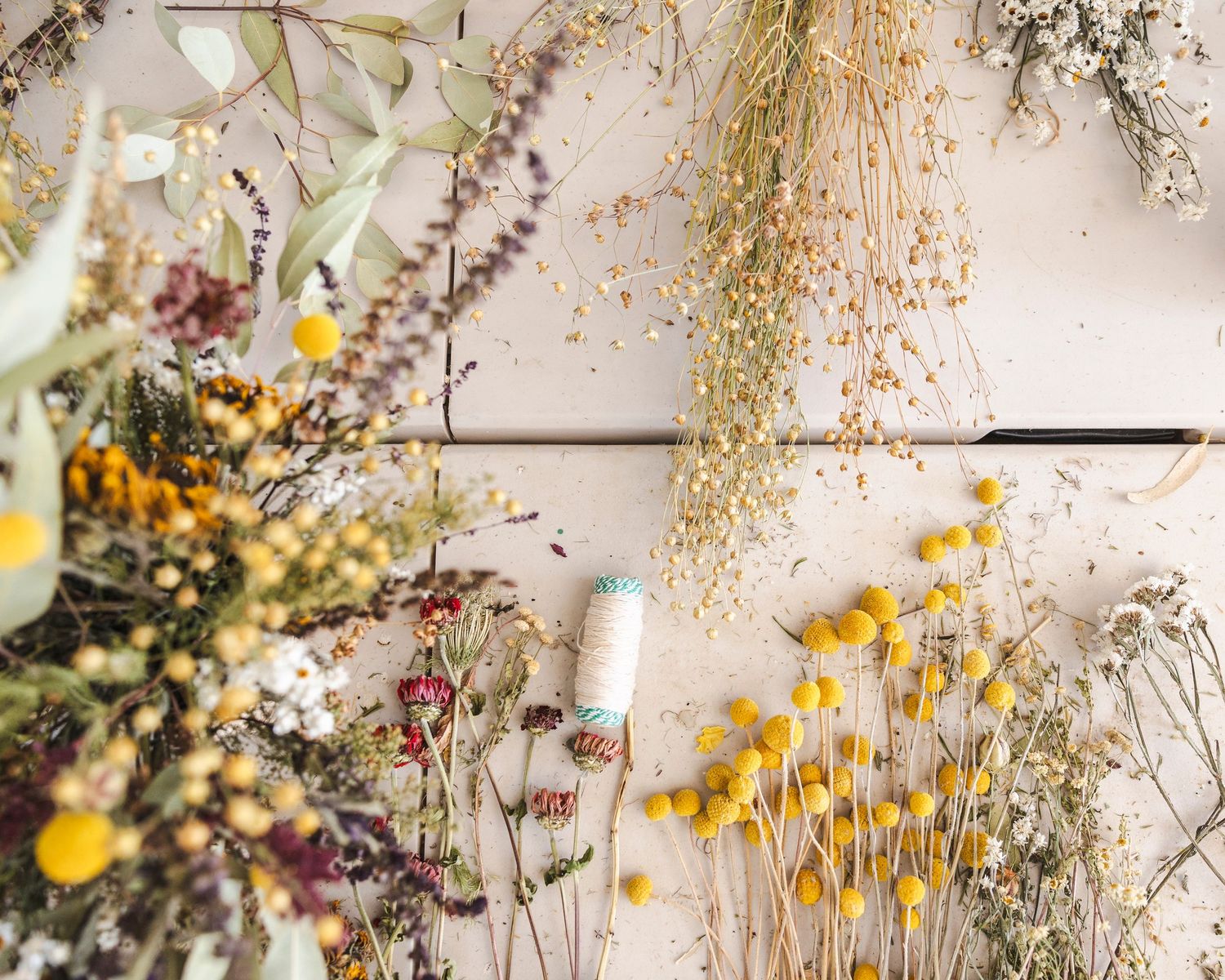 Delicate dried flowers and grasses arranged in a soft, ethereal composition against a light beige background.