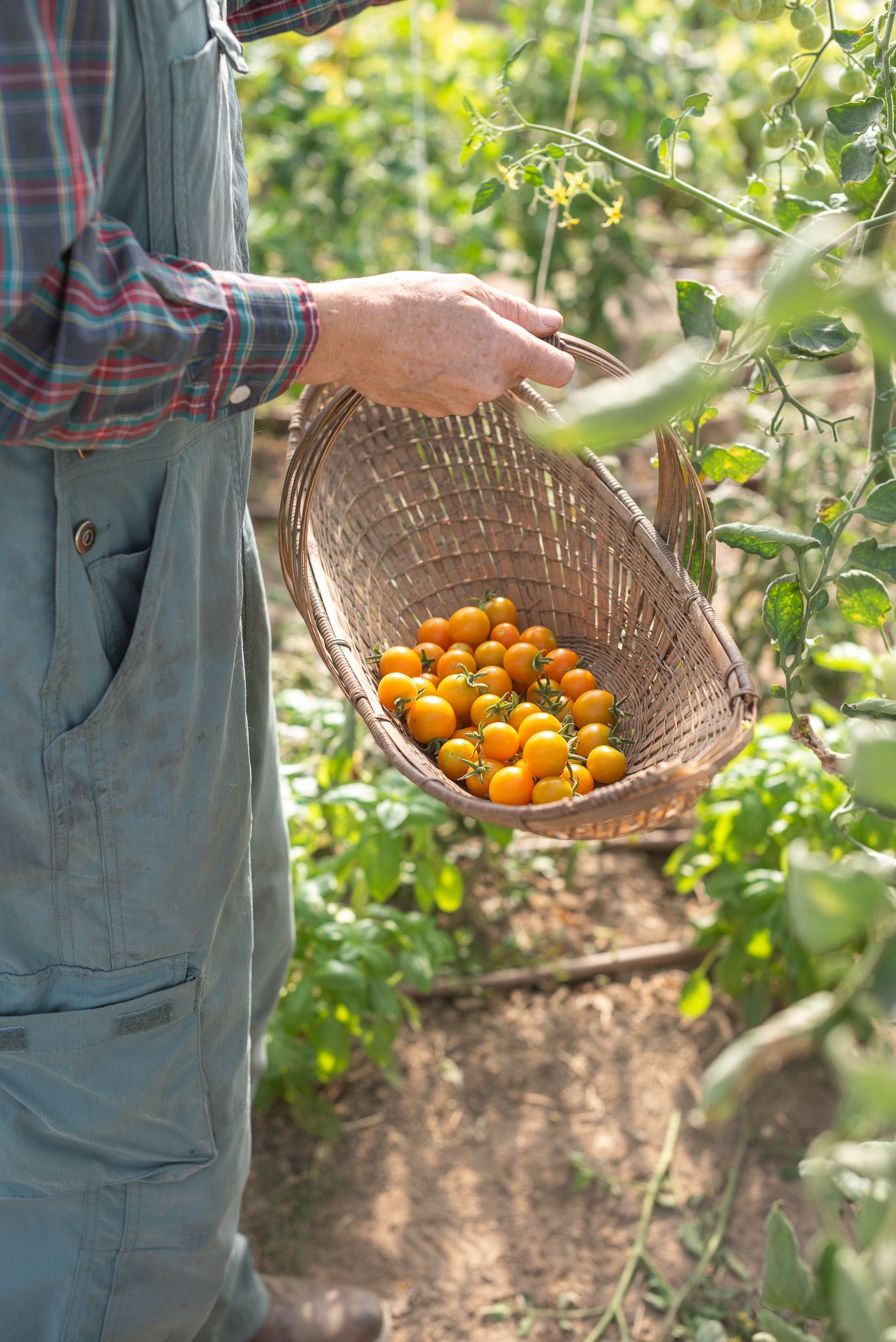 nampa idaho farm inspo