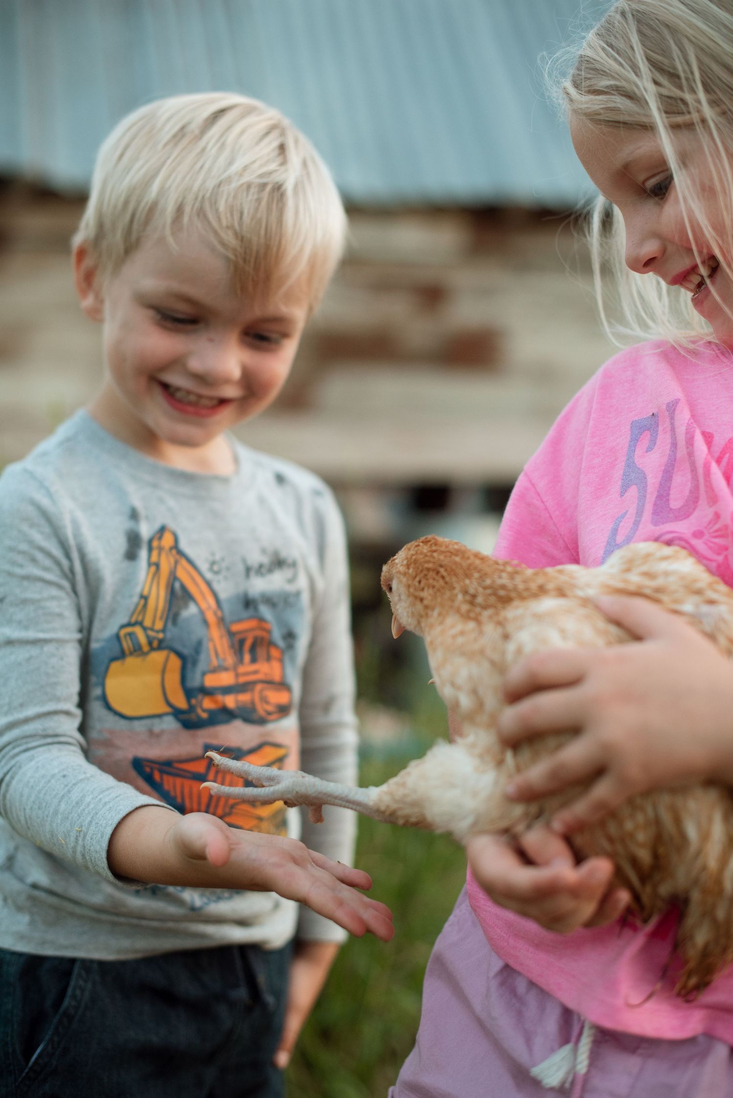 meridian idaho farm photographer