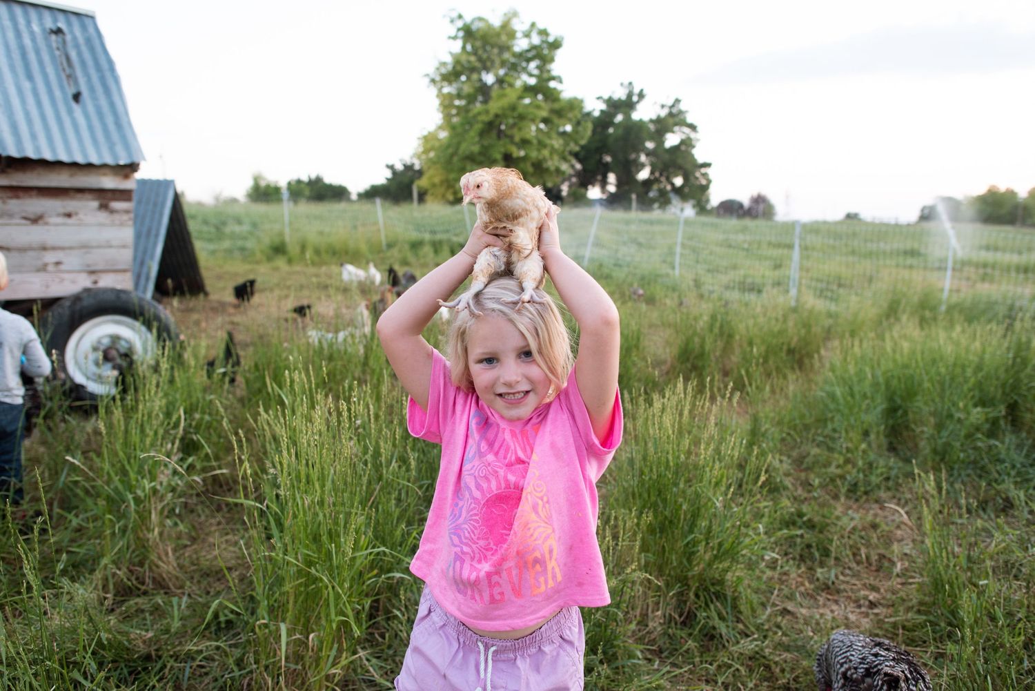 farm photographer boise