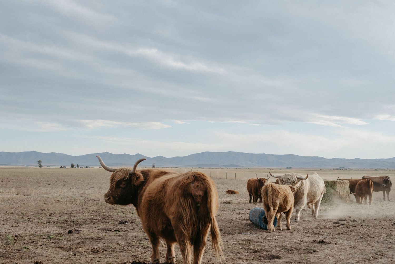 rural idaho ranch photographer