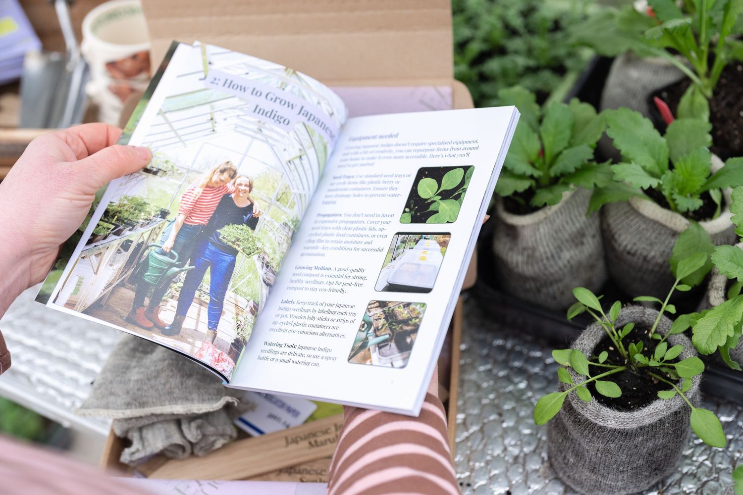 Lifestyle brand photography showing hands holding a book beside potted herbs and natural home decor