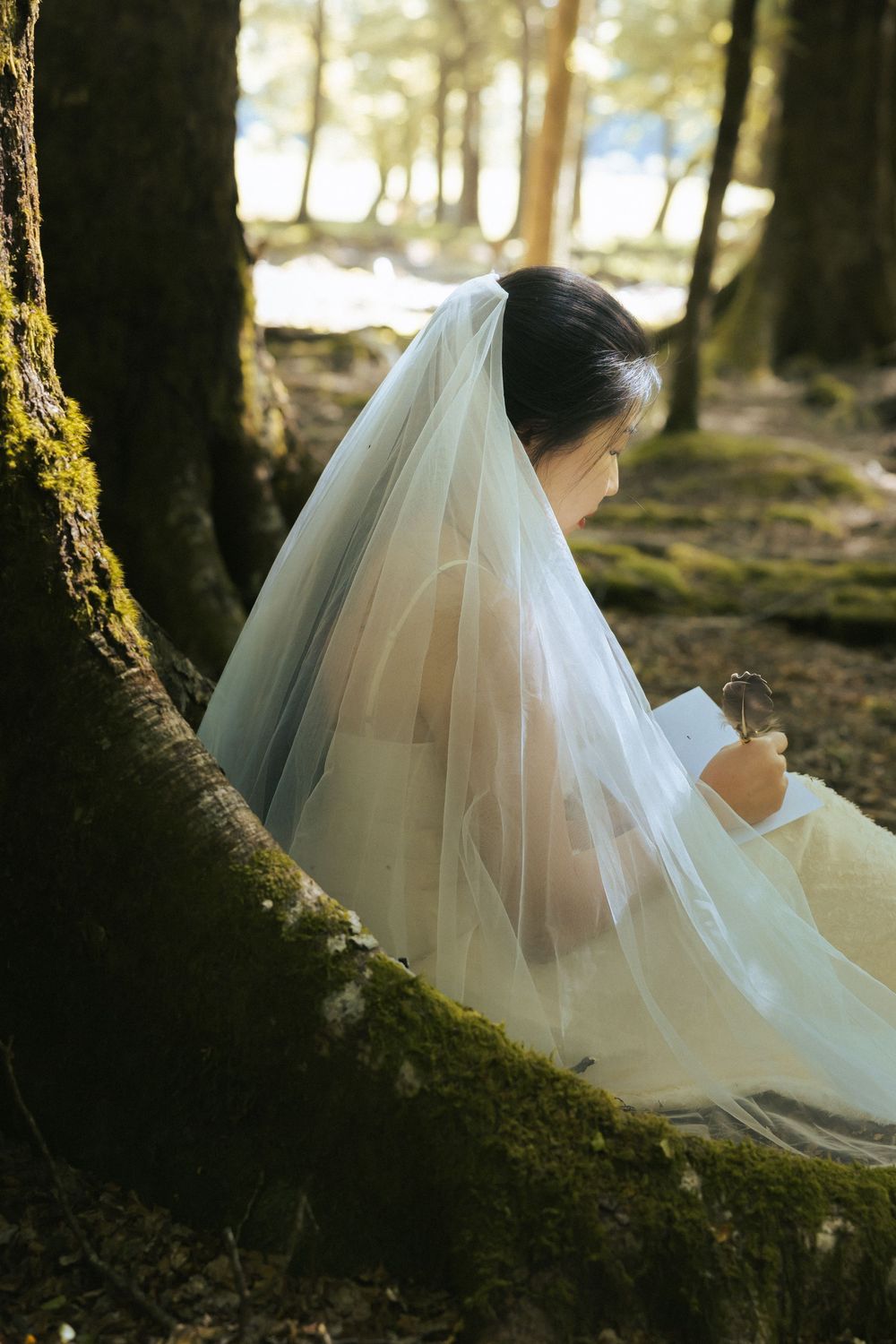 A bride in a flowing white wedding dress sits gracefully against moss-covered trees in a sunlit forest setting.