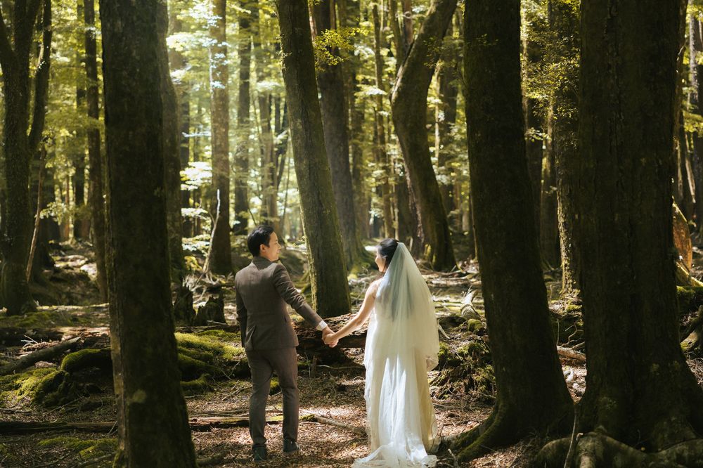 Ethereal forest scene with white flowing fabric draped between trees in dappled sunlight.