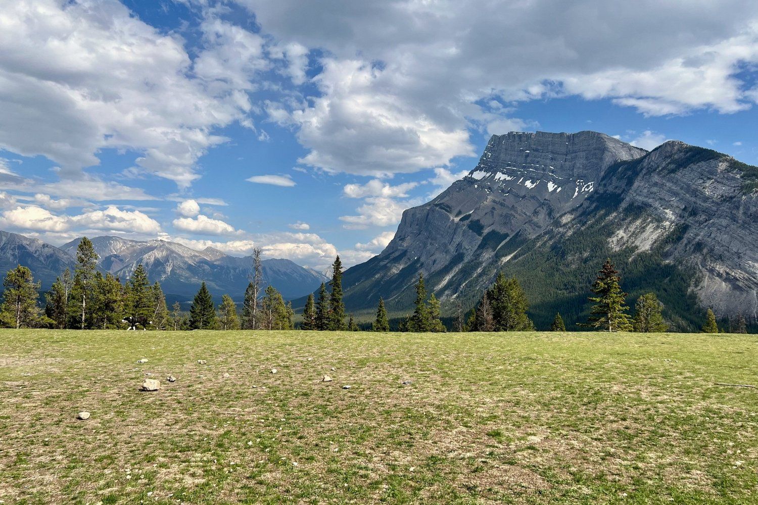 wide open grassy field with Tunnel Mountain behind in Banff National Park