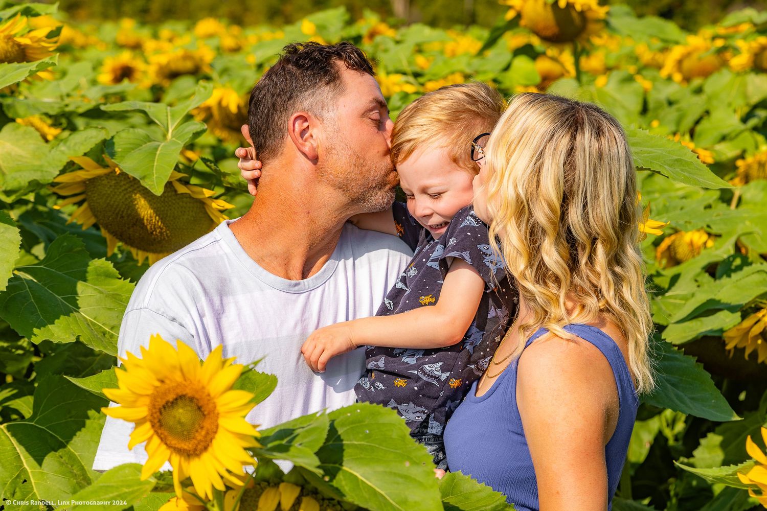 Gorgeous Summer Sunflower Family Photo photographed by Chris Randell, Linx Photography of Barrie Ontario