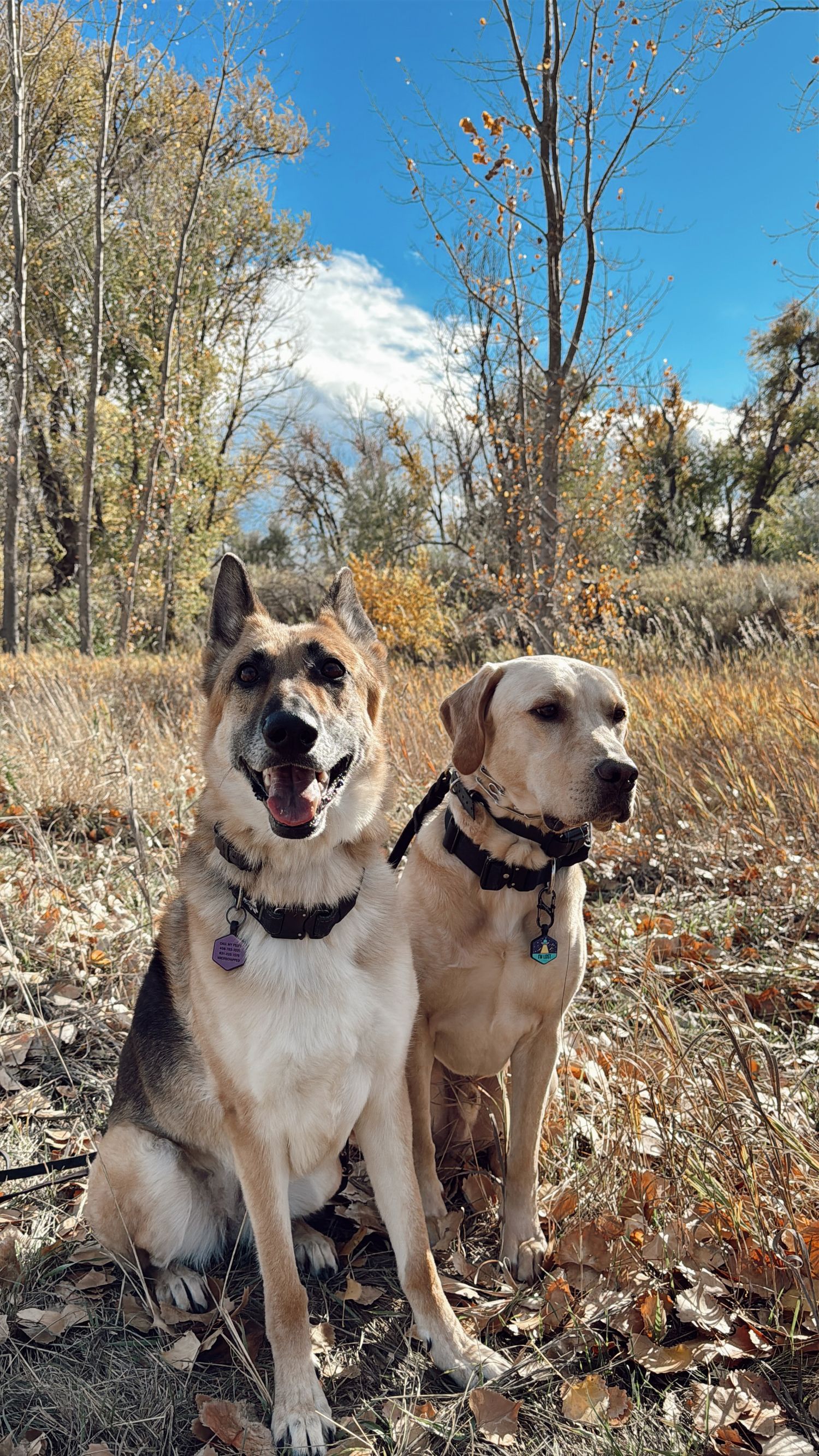 candid family moments captured in Montana