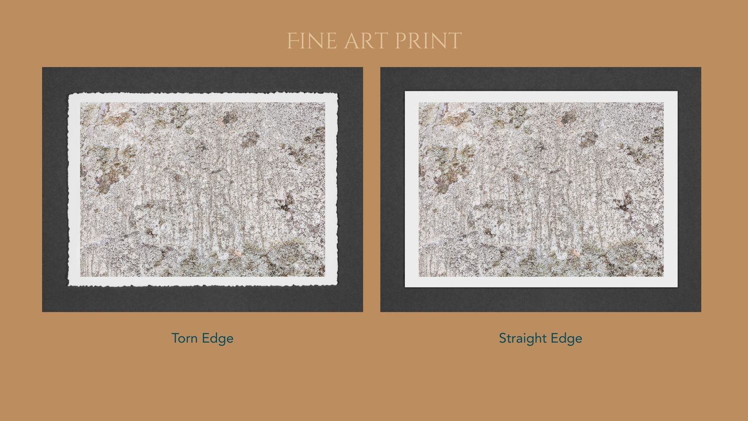 Two identical framed art prints showing abstract floral patterns in brown and white tones displayed side by side.