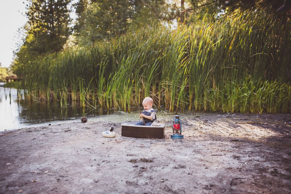 A scenic lakeside beach with tall reeds and natural vegetation along the shoreline during golden hour.