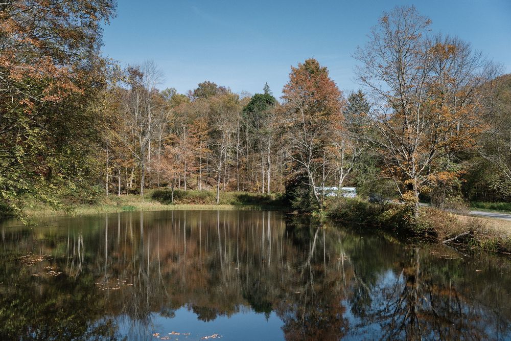 Calm lake reflects fall foliage and trees on a clear autumn day.