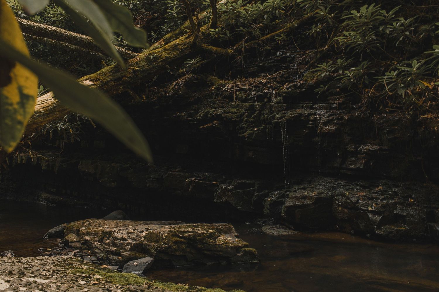 hiking, cascades, virginia, explore