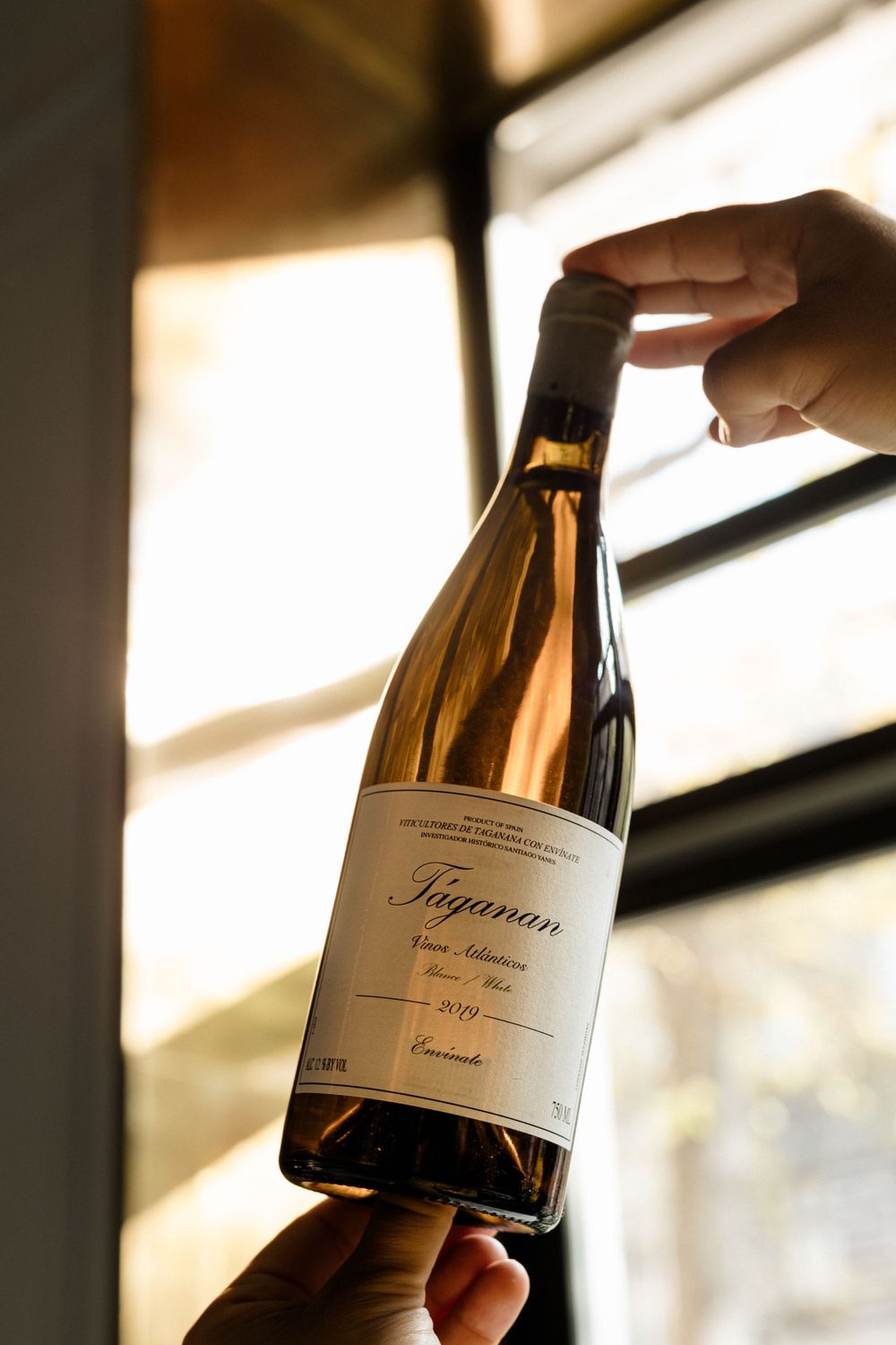 Hand holding wine bottle labeled Figeman in golden sunlight through window.