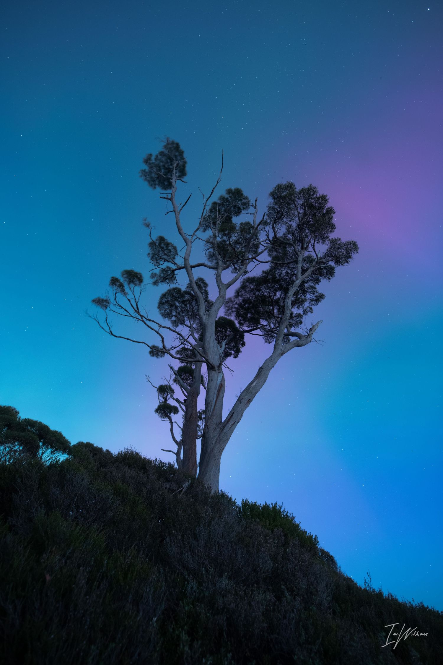 Aurora Australis, Tasmania, 11 May 2024