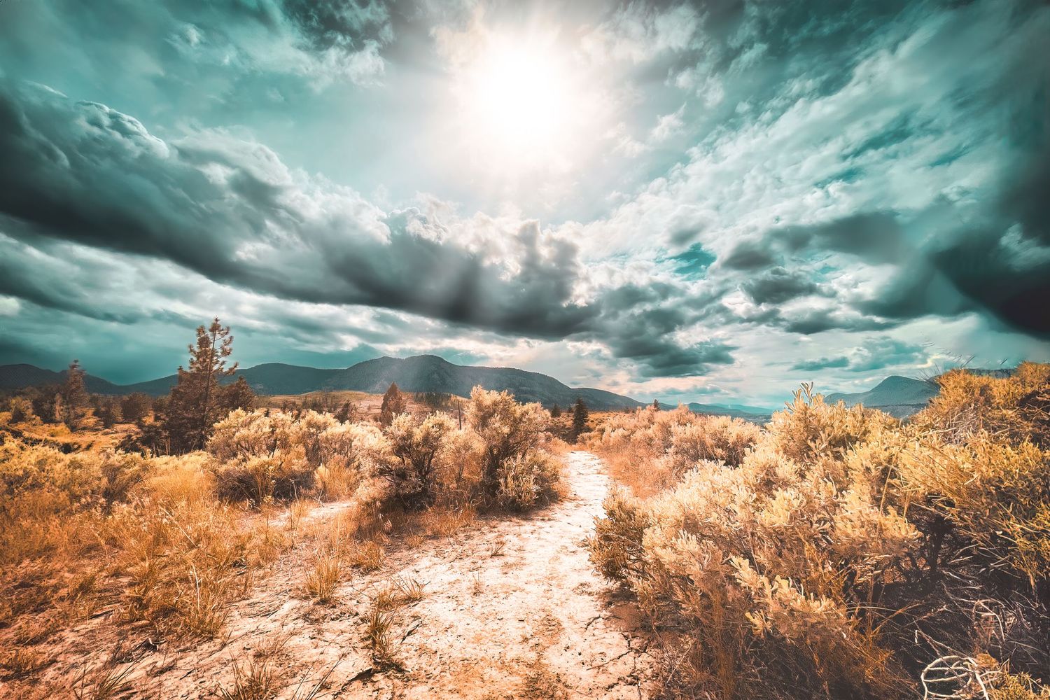 Dramatic desert landscape with golden sagebrush under turquoise sky and bright sunburst through dramatic clouds.