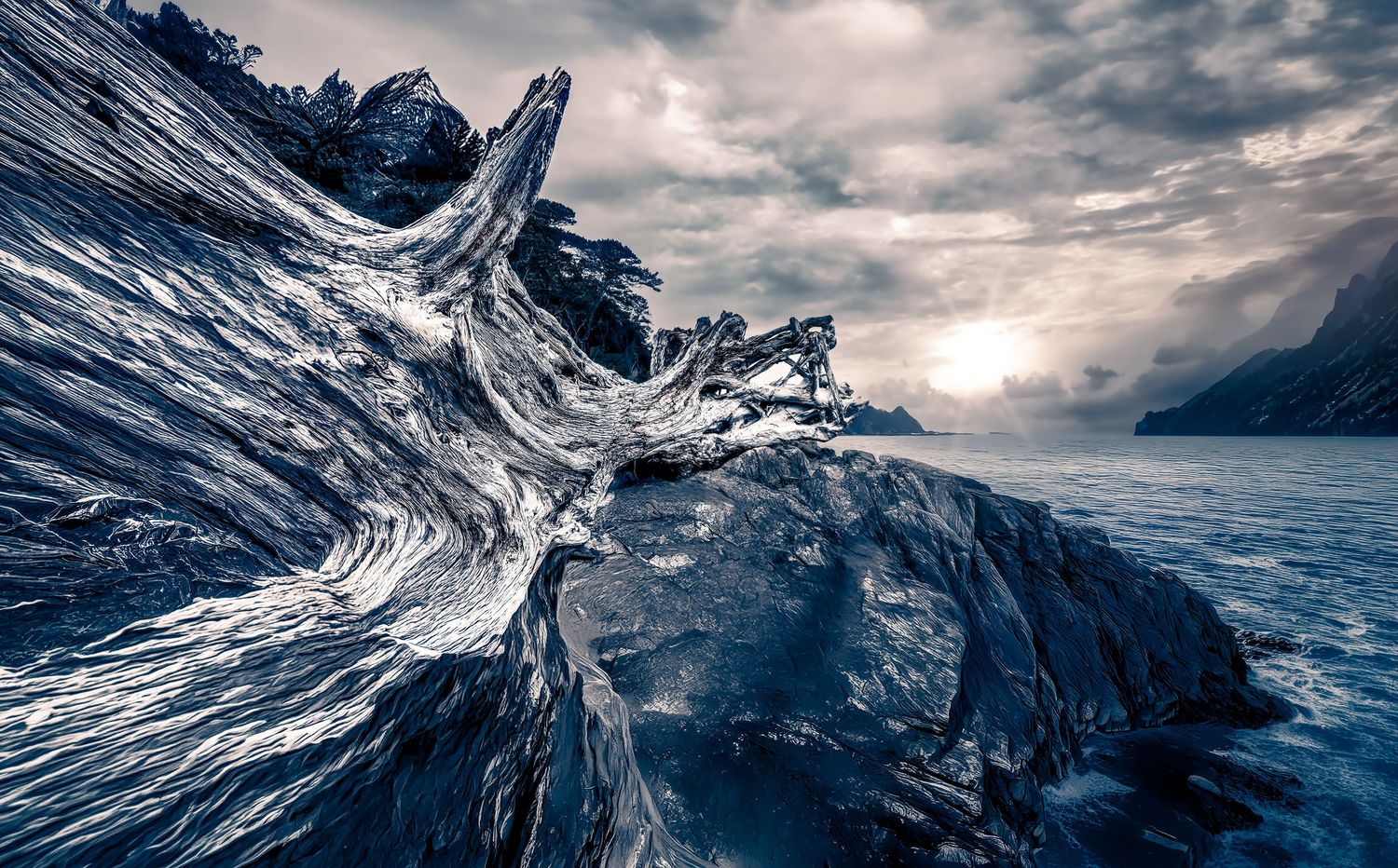 A dramatic wide-angle shot of weathered driftwood on a rocky beach at sunset.