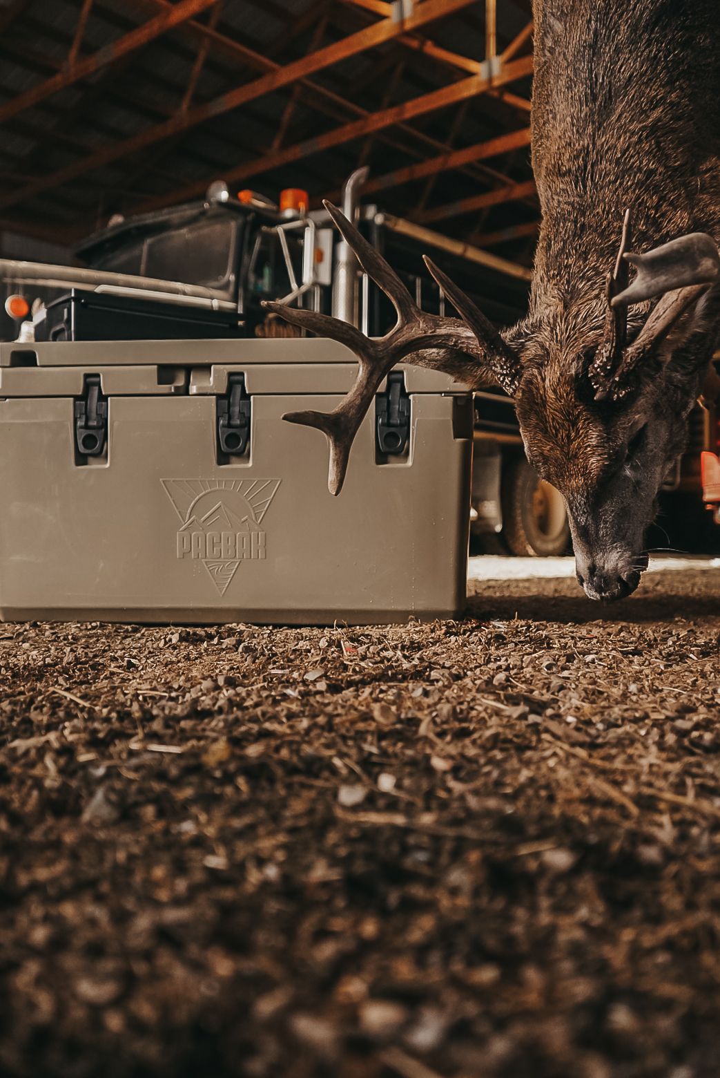Tan colored cooler photographed at ground level with rustic background.