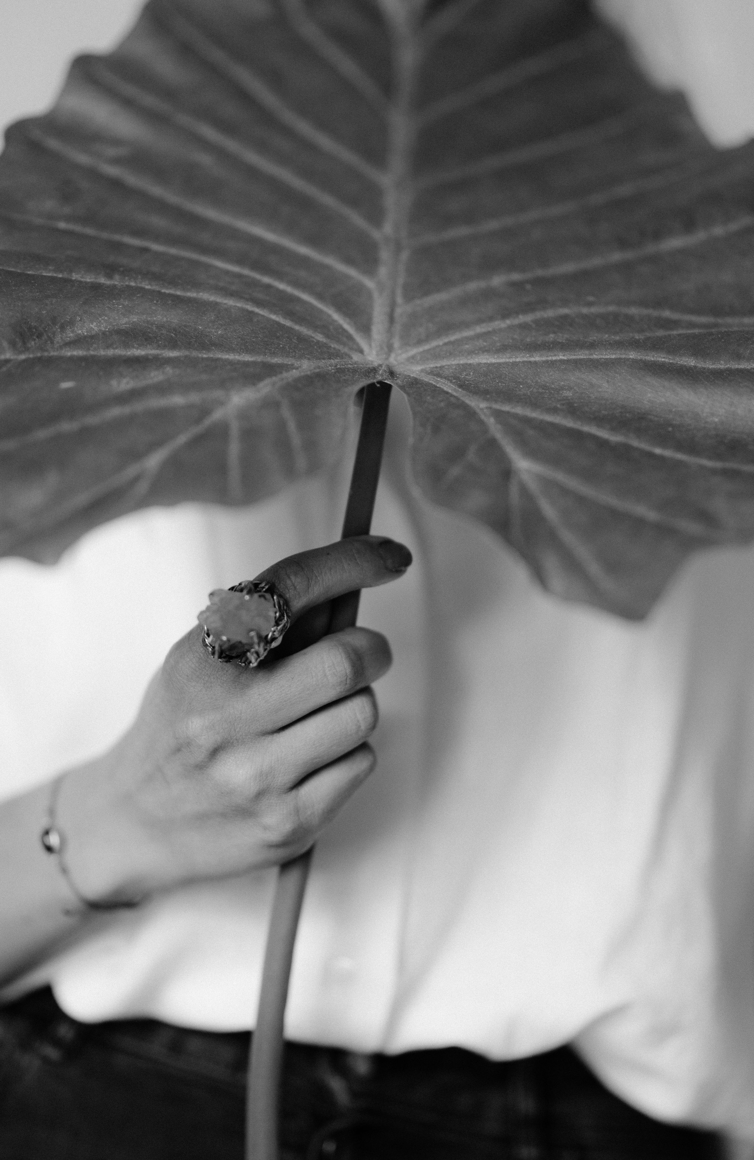 Close up black and white photo of hand holding large tropical leaf with detailed vein patterns.