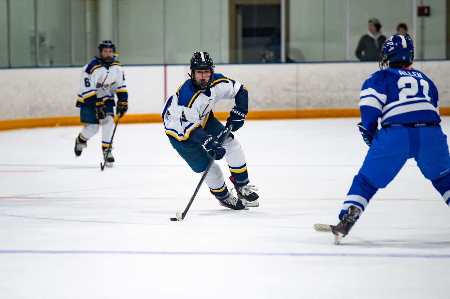 hockey player skating