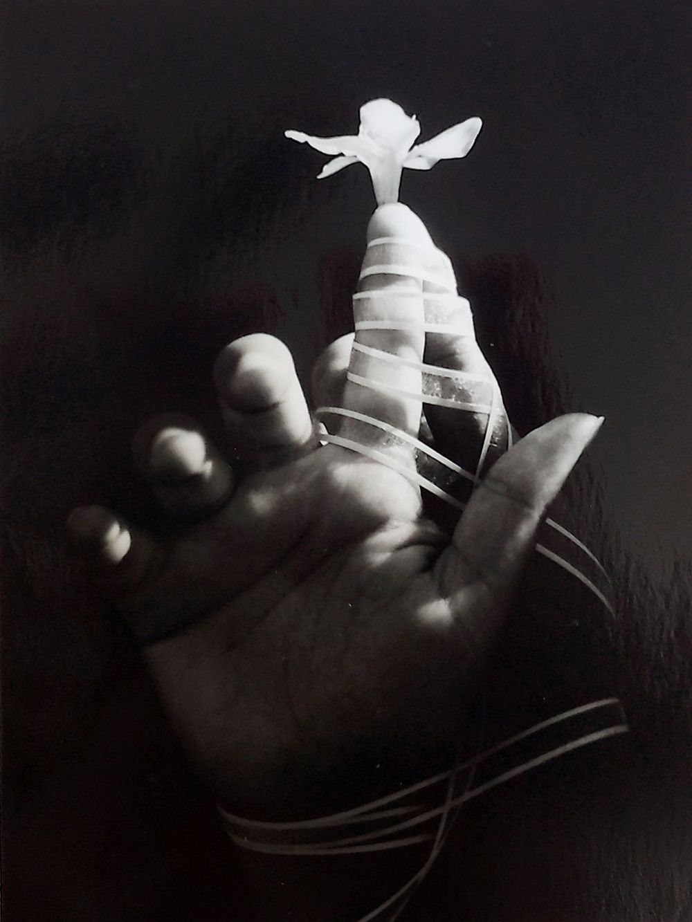 © 2020 Andrea Soto @asolopic . All rights reserved.