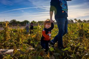 A child and adult explore a pumpkin patch on a sunny autumn day with bright blue skies overhead.