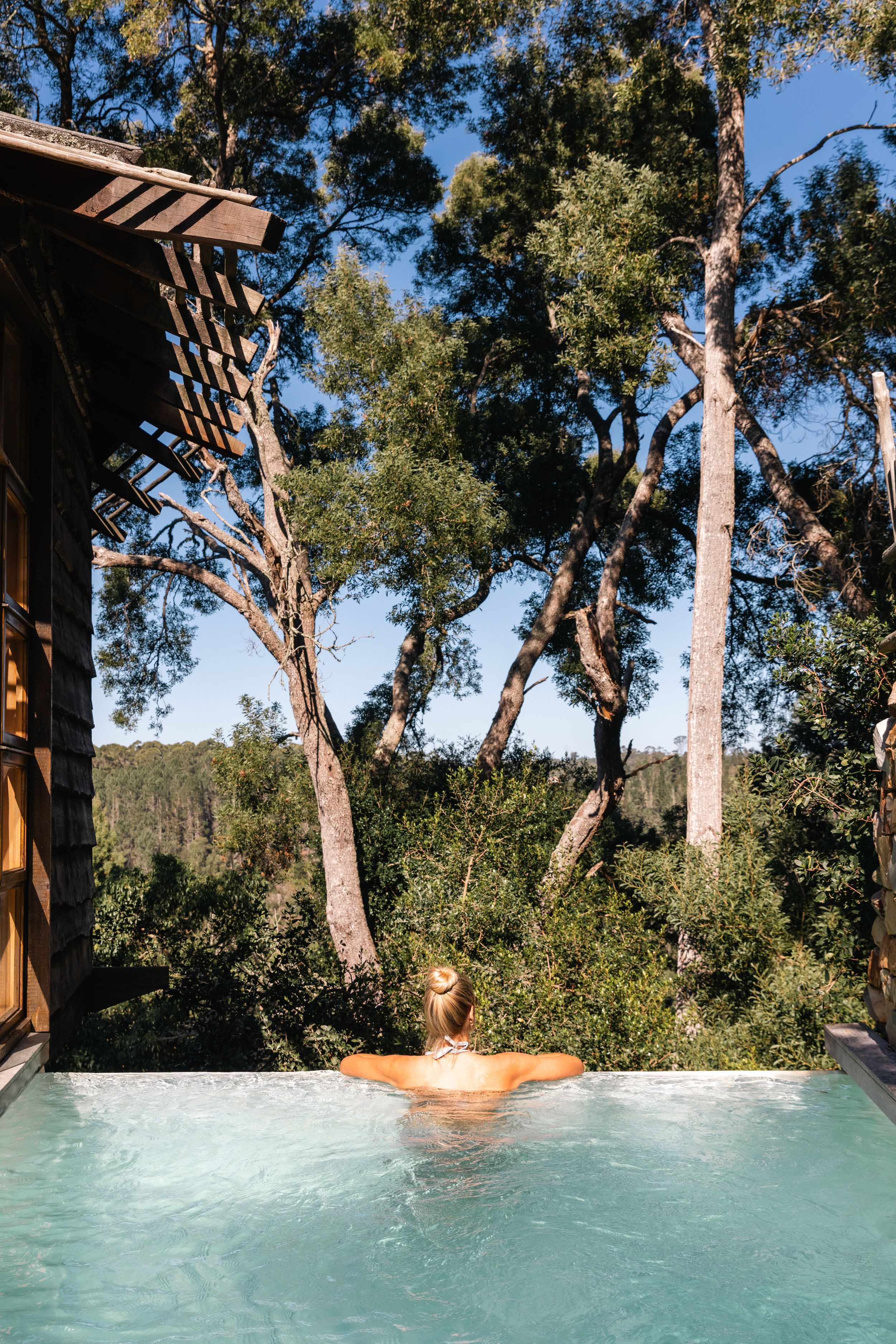 Luxurious infinity pool surrounded by tall eucalyptus trees in a serene forest setting.