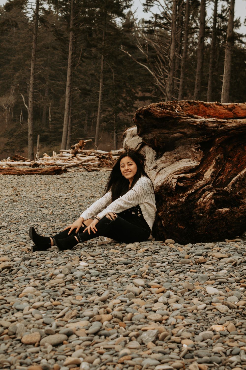 Person sitting on rocky beach against driftwood log and evergreen forest backdrop.